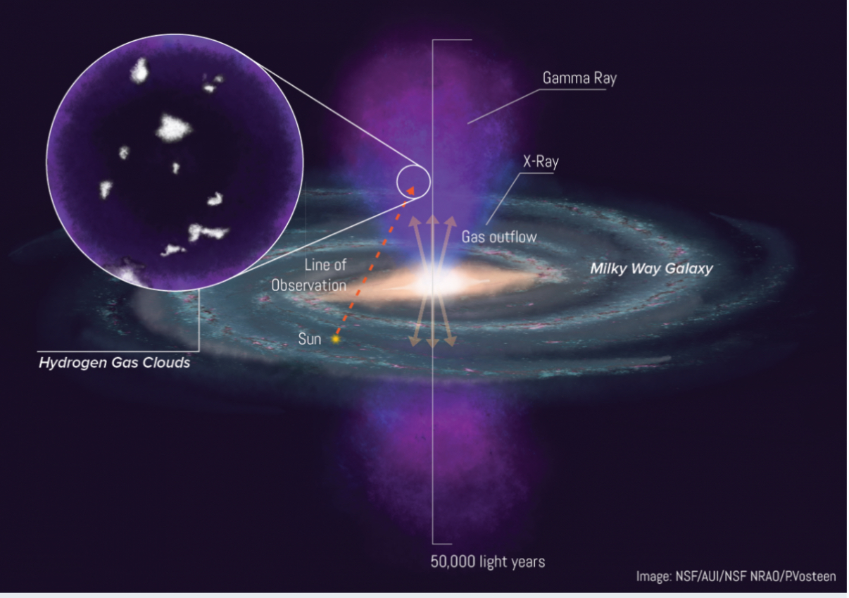 Discovery of a new population of HI clouds in the Fermi Bubbles